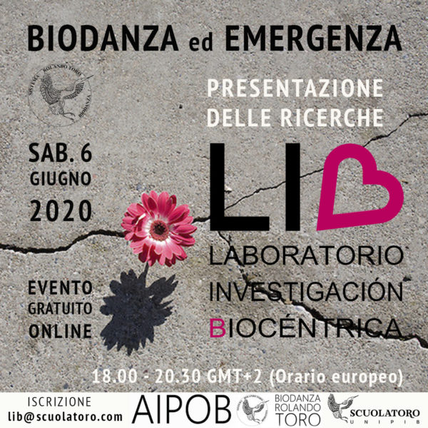 I primi risultati di LIB in “Biodanza ed emergenza” (3)