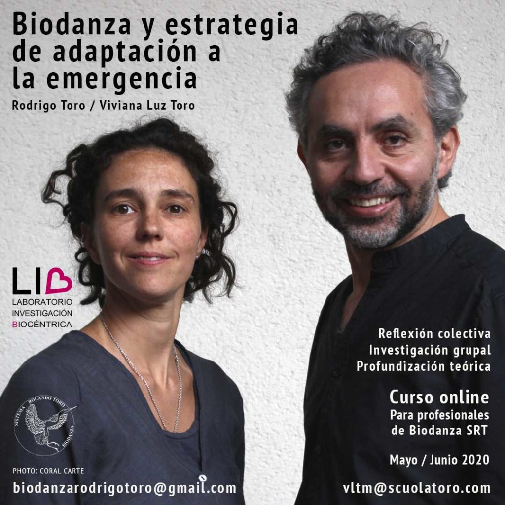Conclusiones del equipo sobre el primer LIB por Viviana Toro y Rodrigo Toro
